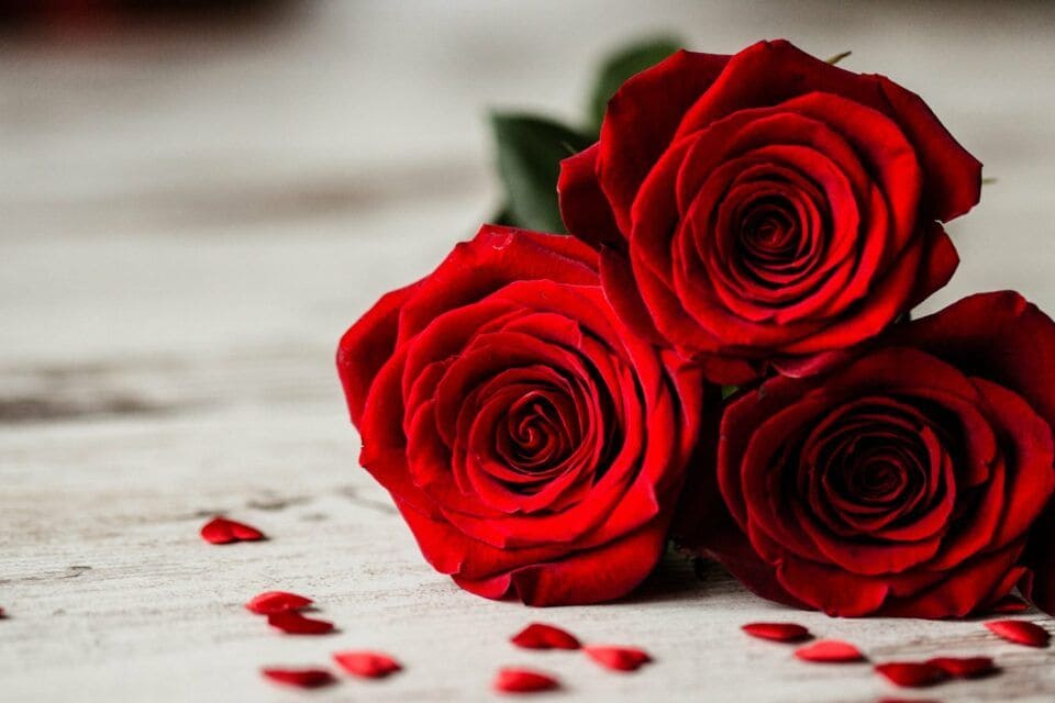 Rituel de retour affectif pour recuperer son ex avec un marabout africain